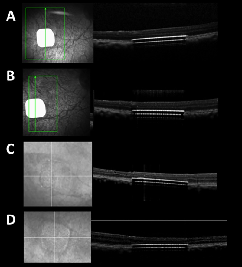 Fig 6