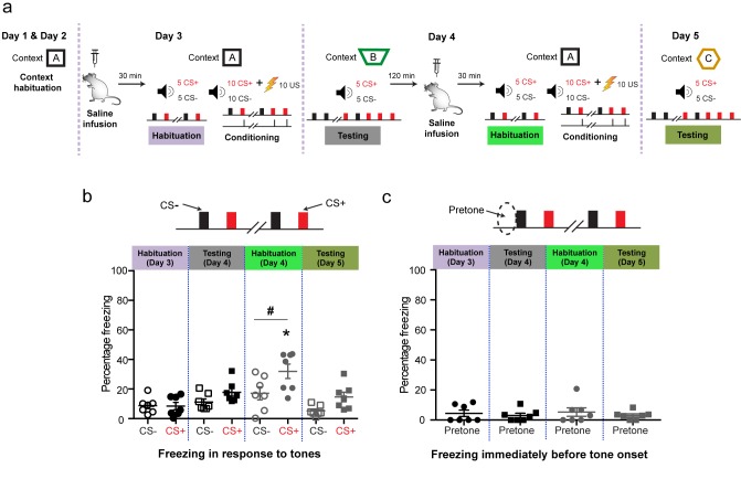 Figure 2—figure supplement 1.