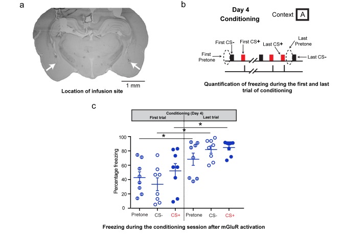 Figure 2—figure supplement 2.