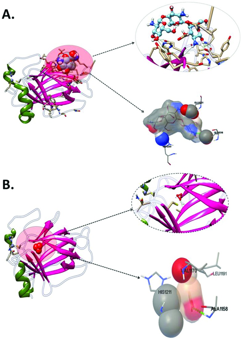 Fig. 8