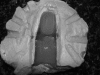 Fig. 10
