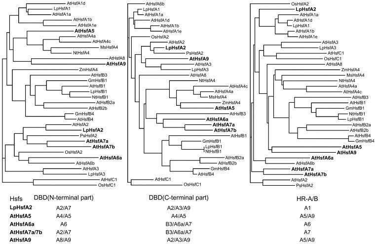 Fig 4.