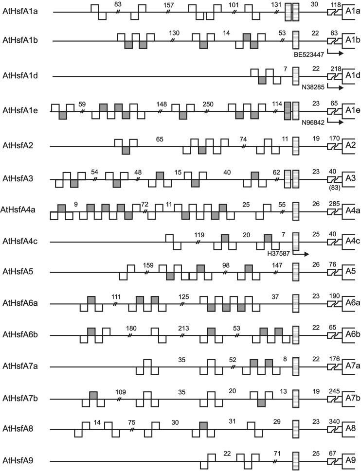 Fig 6.