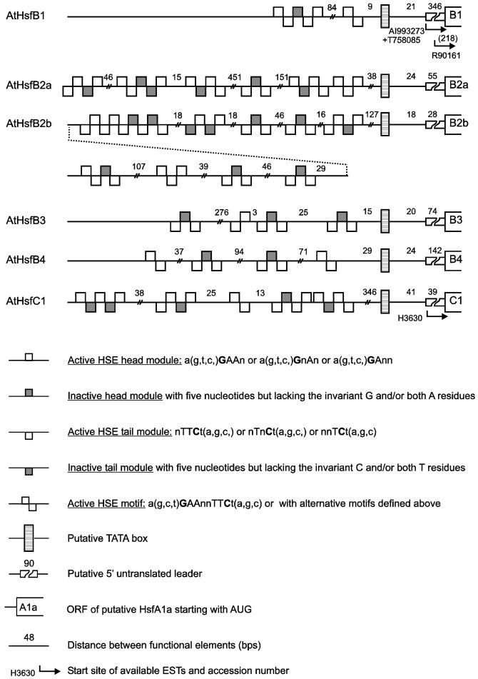 Fig 6.