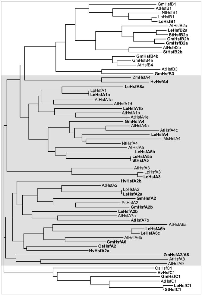 Fig 5.