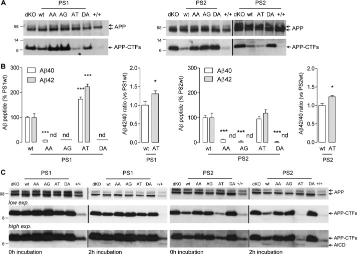 FIGURE 4.