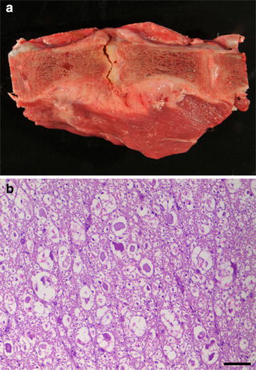 Fig. 2