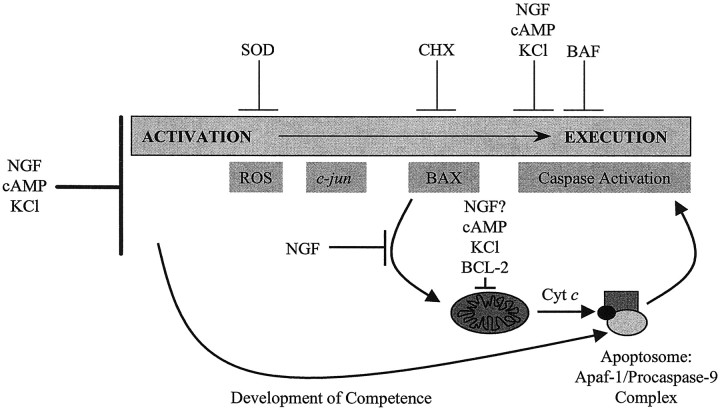 Fig. 8.