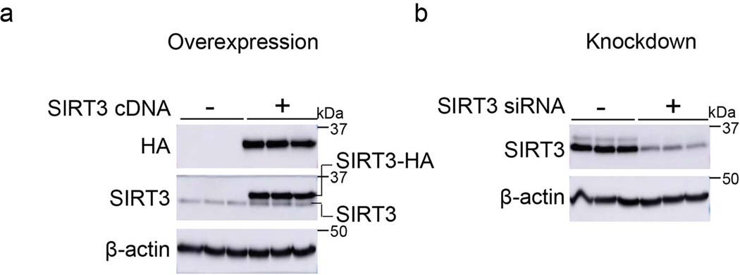 Extended Data Fig. 1