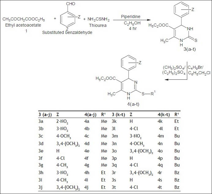 Scheme 1