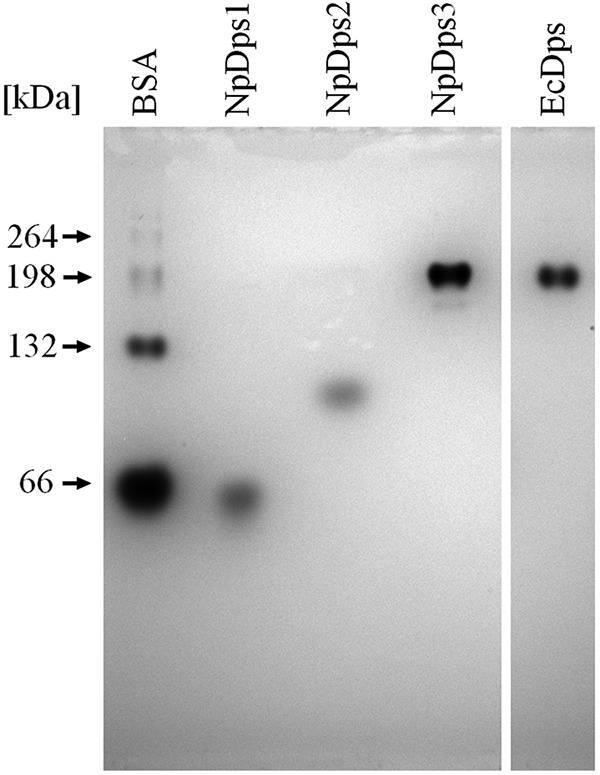 Figure 3.