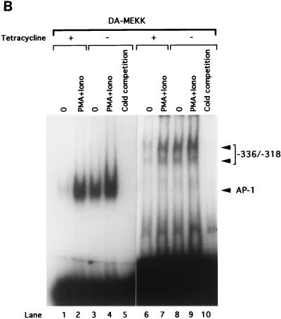 FIG. 5