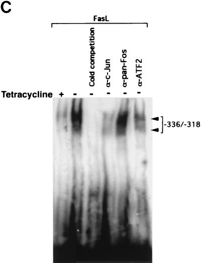 FIG. 5