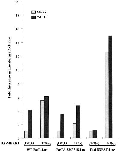 FIG. 7