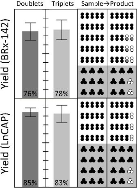 Figure 5: