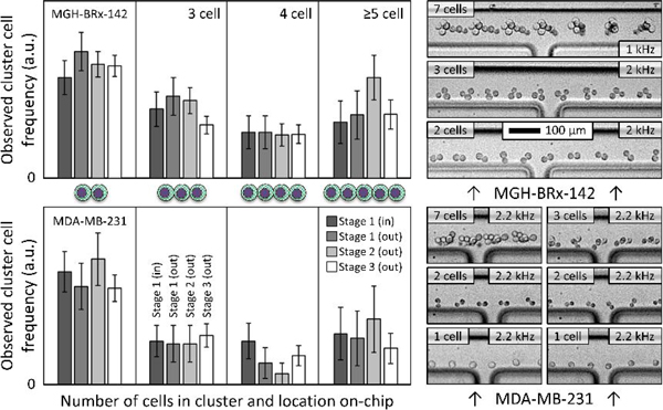 Figure 4: