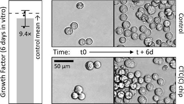 Figure 6: