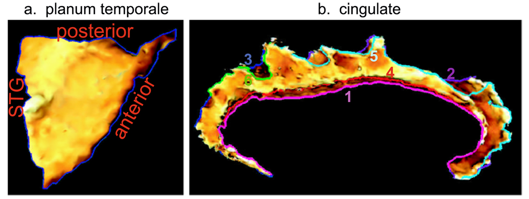 Fig. 10