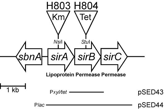 FIG. 1.