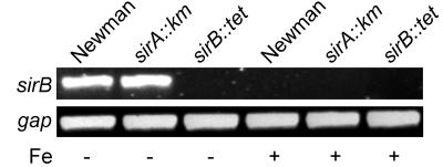 FIG. 5.