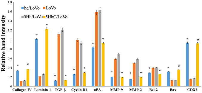 Figure 5