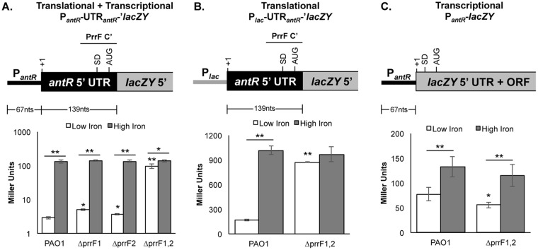 FIG 2