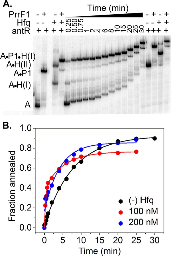 FIG 7