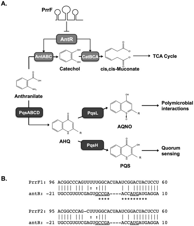 FIG 1