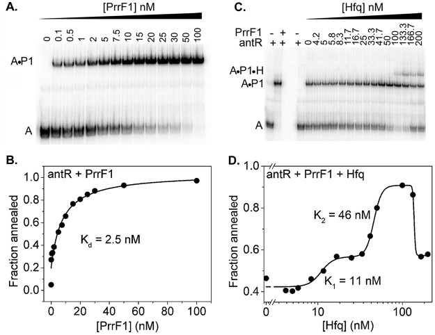 FIG 6