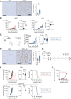 Figure 1. CAF abundance is associated with insensitivity to ICB. A, 4T07 or 4T1 cells were implanted orthotopically into BALB/c mice (n = 5 per group). Mice were culled on day 17. Representative αSMA stained sections (scale bar, 100 μm). Bar chart shows % αSMA+-stained area. B, 4T07 or 4T1 cells were implanted orthotopically into BALB/c or NSG mice (n = 6 per group). Tumor growth curves for individual mice and tumor growth rates. C, 4T1 cells were implanted orthotopically into BALB/c mice (n = 4–9 per group) and treated with αCTLA4 or αPD-L1 antibodies alone (see Supplementary Fig. S1C), or in combination, according to the schedule shown. Control mice received isotype control antibodies. Tumor growth curves for individual mice and tumor growth rates. D, D2A1 or D2A1-m2 cells were implanted orthotopically into BALB/c mice (n = 6 per group), and intratumoral αSMA staining was quantified as in A. E and F, D2A1 or D2A1-m2 cells were implanted orthotopically into BALB/c mice and treated with αCTLA4 and αPD-L1 antibodies in combination according to the schedule shown (n = 8 control and 12 ICB-treated mice per group). Tumor growth curves for individual mice (CR, complete responder), tumor growth rates, and Kaplan–Meier survival analysis (log-rank test). G, D2A1 cells were implanted bilaterally into naïve BALB/c mice (n = 2 mice) or into the opposite mammary fat pad of the surviving mouse from the D2A1 arm of F (rechallenged, n = 1 mouse).