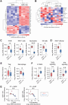 Figure 3. NanoString transcriptomic profiling. D2A1 or D2A1-m2 cells were implanted orthotopically into BALB/c mice (n = 5 or 6 per group). Mice were culled on day 24 (see Supplementary Fig. S2A for tumor weights). A, Profiling of tumors was performed using the NanoString mouse IO 360 panel. Heatmap of significant differentially expressed genes. B, Unsupervised hierarchical clustering based on the expression of NanoString immune cell population abundance signatures (see Supplementary Fig. S2D). C, Significantly differentially expressed NanoString immune cell population abundance signatures. D, CD8 T effector signature expression. E, Treg and macrophage signature expression. F, Expression of fibroblast TGFβ response (F-TBRS) signature (23) and NanoString TGFβ and Wnt signaling signatures (see Supplementary Fig. S2E). G, Correlation between NanoString “CD8 T cells” and F-TBRS (left) or NanoString TGFβ signaling (right) signature expression.