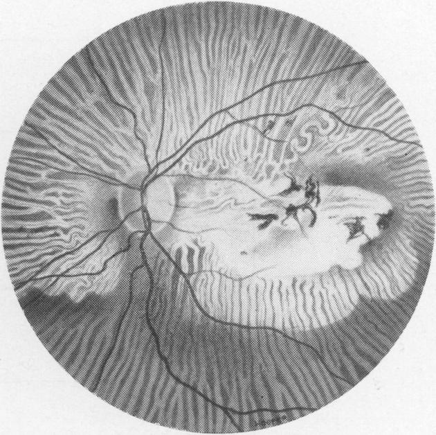 Fig. 6(b)