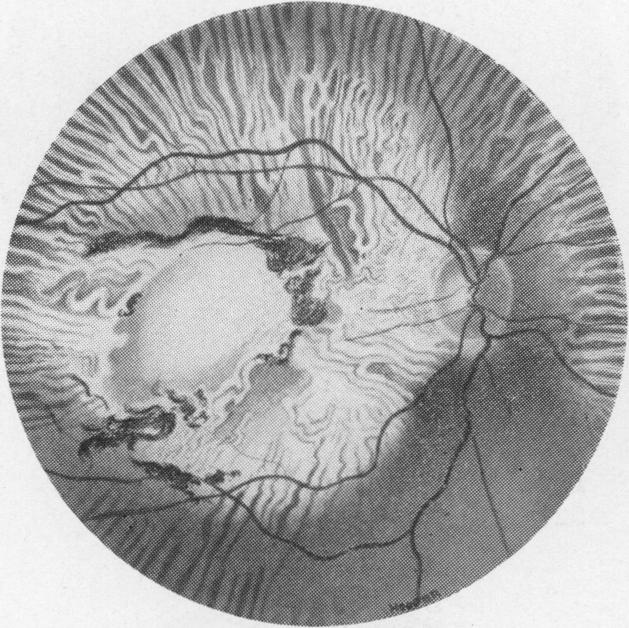 Fig. 5(a)