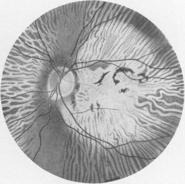 Fig. 5(b)