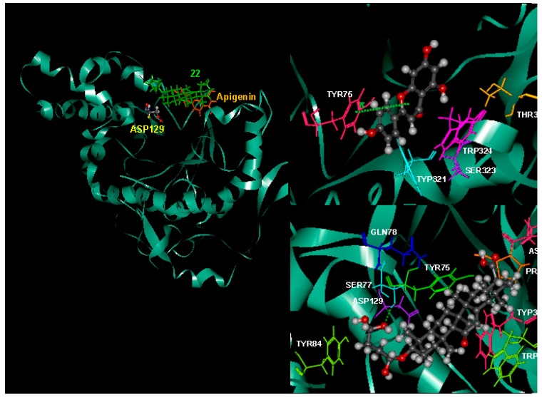 Figure 5