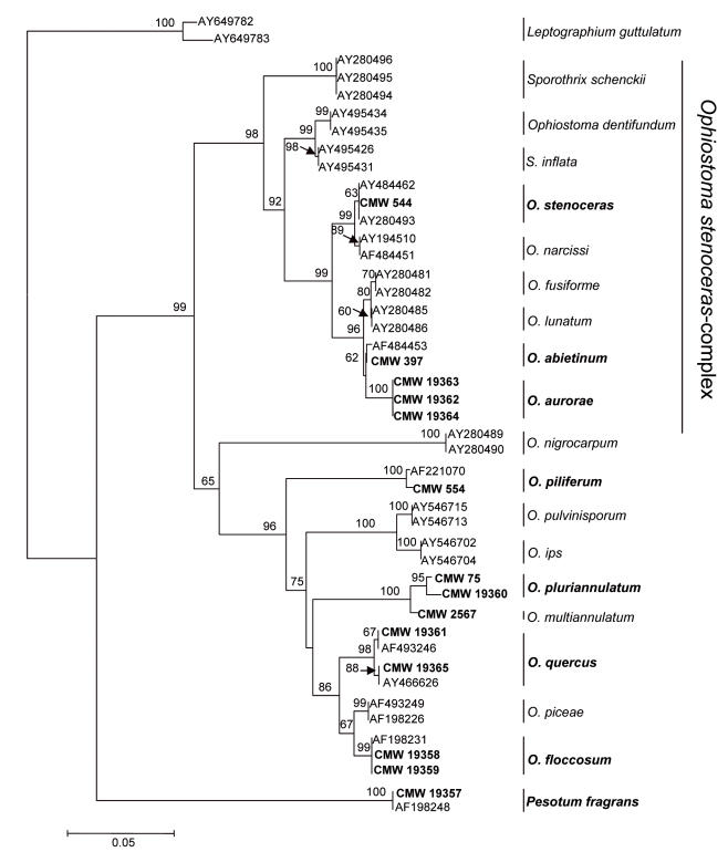 Fig. 1.