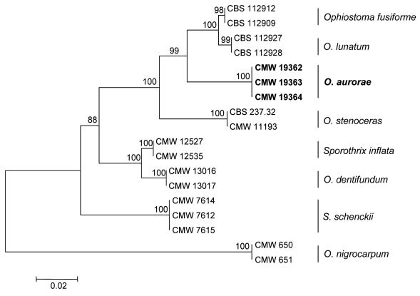 Fig. 2.