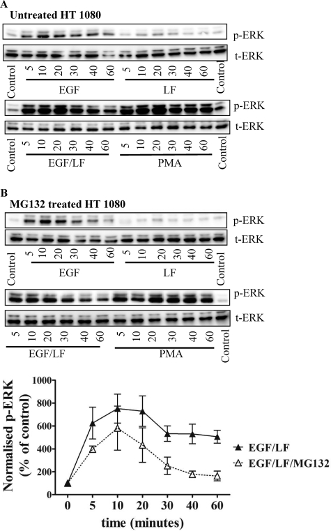 FIGURE 10.