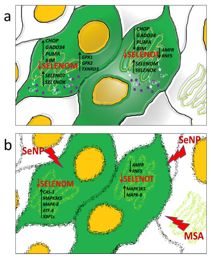 Figure 13