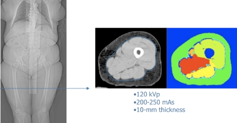 Fig. 4