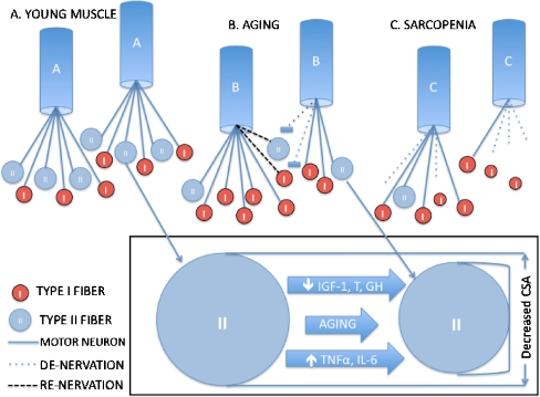 Fig. 2