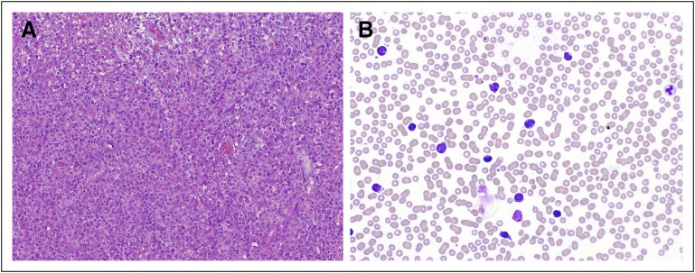 Fig 1.