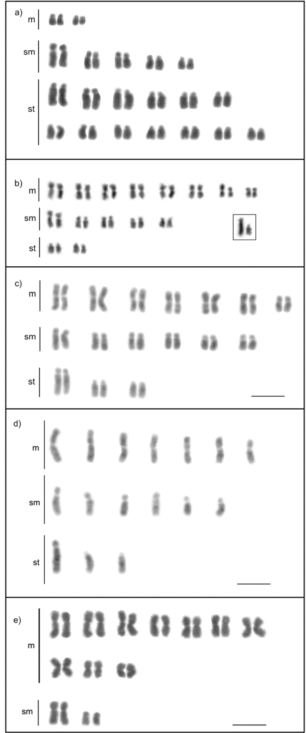 Figure 5.