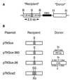 FIG. 1