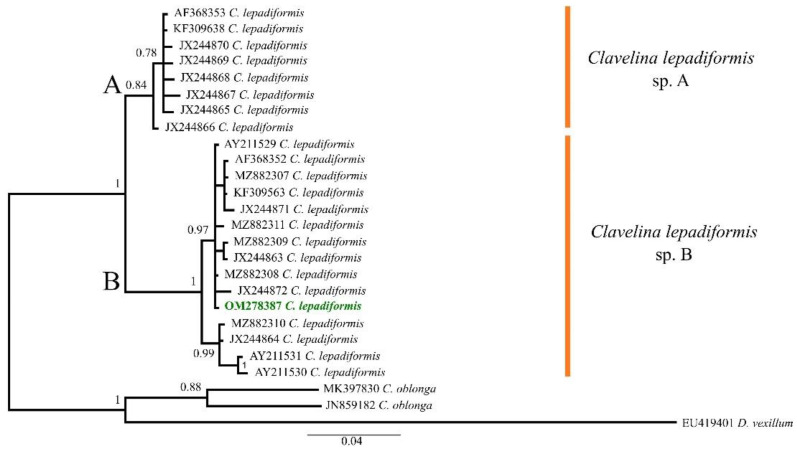 Figure 1