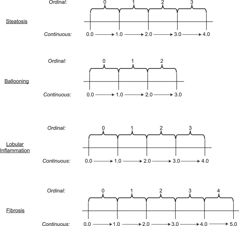 Extended Data Fig. 4