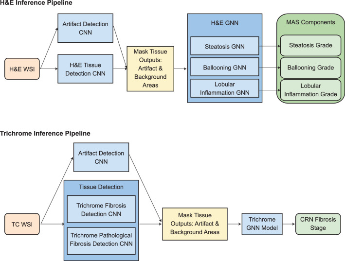 Extended Data Fig. 2