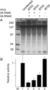 FIG. 5.