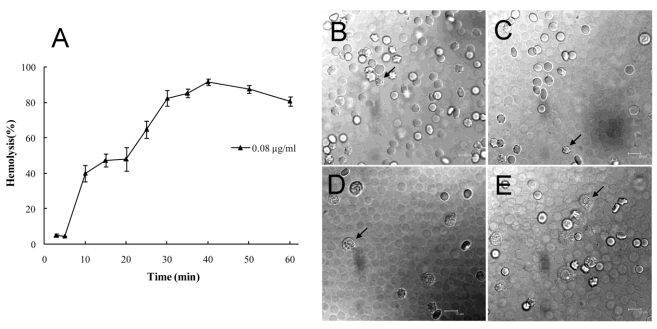 Fig 3