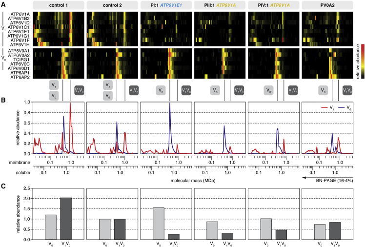 Figure 3